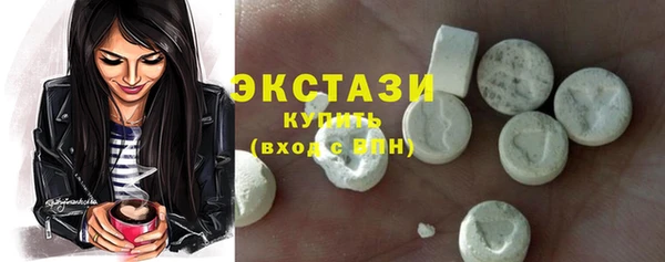 индика Каменногорск