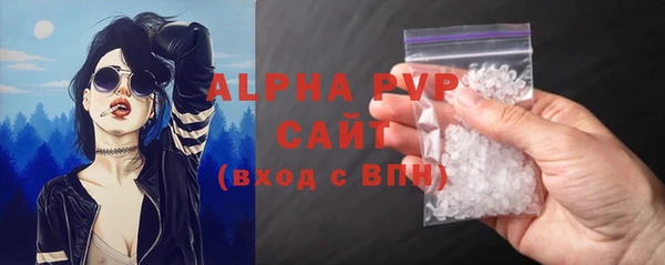 индика Каменногорск