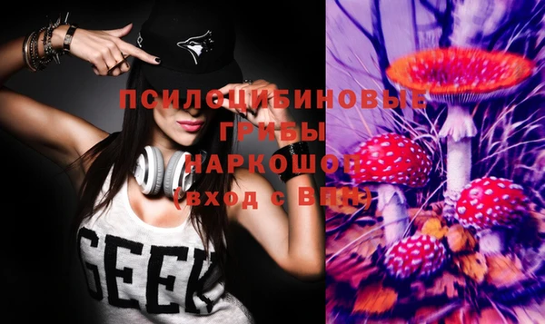 дмт Каменск-Шахтинский