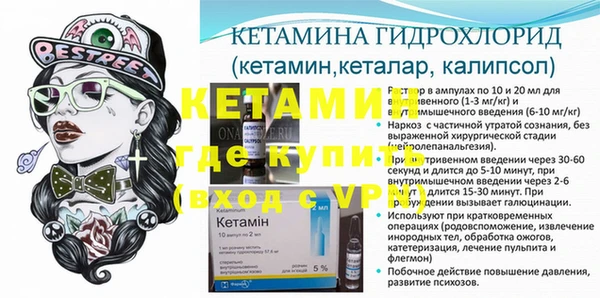 индика Каменногорск