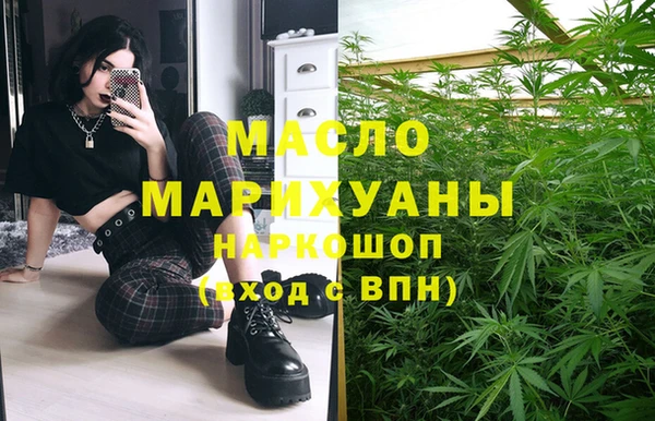 индика Каменногорск