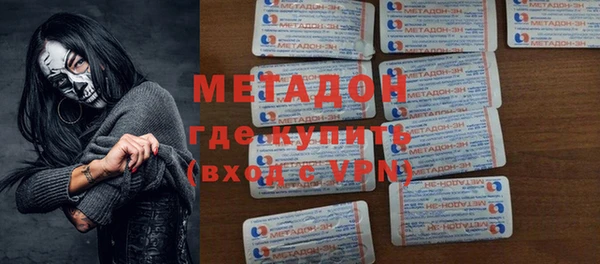 индика Каменногорск