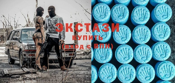 индика Каменногорск
