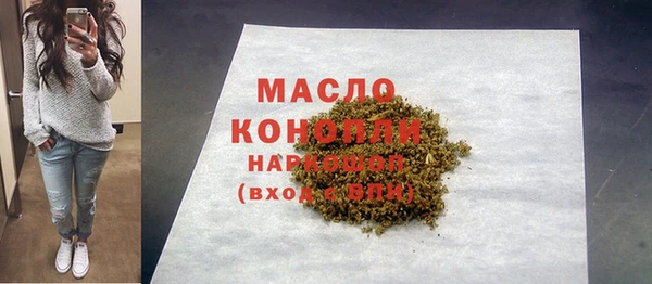 индика Каменногорск