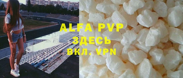 индика Каменногорск