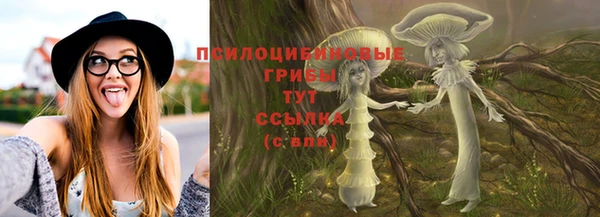 jwh Карпинск