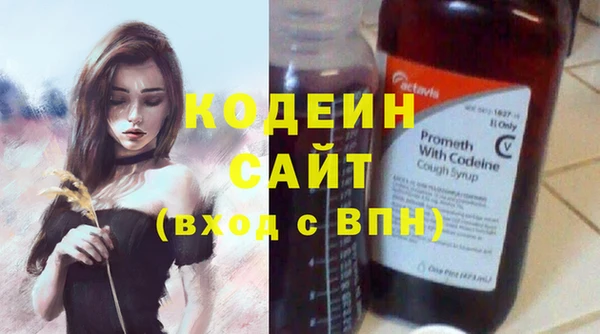 индика Каменногорск