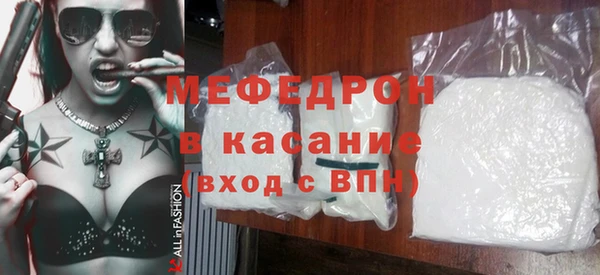 индика Каменногорск
