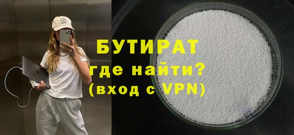 индика Каменногорск