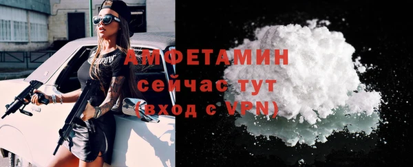 индика Каменногорск