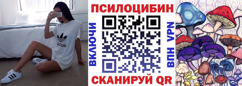 Галлюциногенные грибы Psilocybe  купить  цена  сайты даркнета клад  Кинешма 